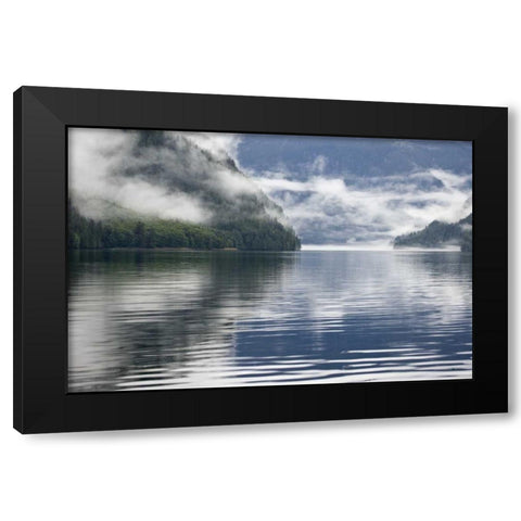 Canada, BC, Fog-shrouded forest by ocean inlet Black Modern Wood Framed Art Print with Double Matting by Paulson, Don