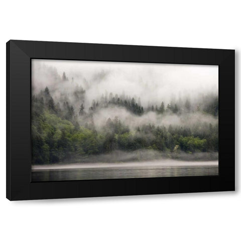 Canada, BC, Fog-shrouded forest by ocean inlet Black Modern Wood Framed Art Print with Double Matting by Paulson, Don