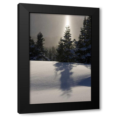 Canada, BC, Smithers Winter snow landscape Black Modern Wood Framed Art Print by Young, Bill