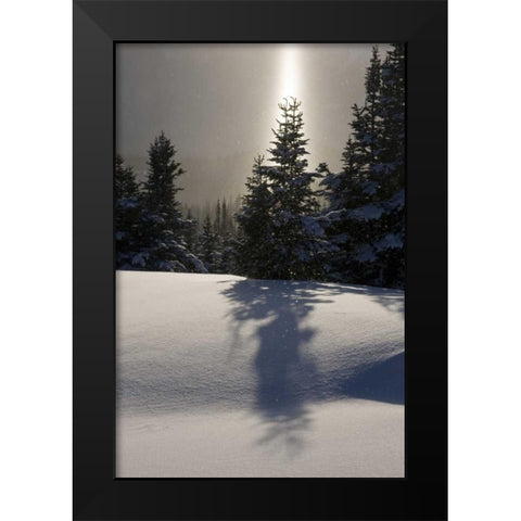 Canada, BC, Smithers Winter snow landscape Black Modern Wood Framed Art Print by Young, Bill