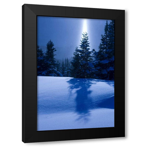 Canada, BC, Smithers Winter snow landscape Black Modern Wood Framed Art Print with Double Matting by Young, Bill
