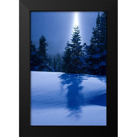 Canada, BC, Smithers Winter snow landscape Black Modern Wood Framed Art Print by Young, Bill
