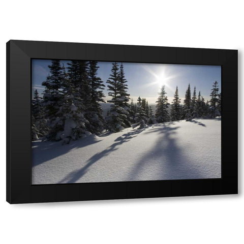 Canada, BC, Smithers Snow-laden spruce trees Black Modern Wood Framed Art Print by Young, Bill