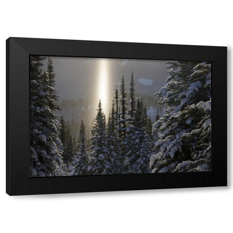 Canada, BC, Smithers Winter snow landscape Black Modern Wood Framed Art Print with Double Matting by Young, Bill