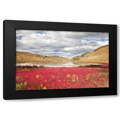 Canada, Kamloops, Lac Du Bois Grasslands Park Black Modern Wood Framed Art Print by Paulson, Don