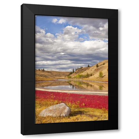 Canada, Kamloops, Lac Du Bois Grasslands Park Black Modern Wood Framed Art Print by Paulson, Don