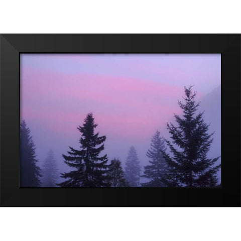 Canada, BC, Mt Robson PP Foggy sunrise scenic Black Modern Wood Framed Art Print by Paulson, Don