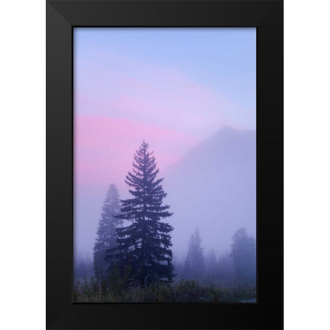 Canada, BC, Mt Robson PP Foggy sunrise scenic Black Modern Wood Framed Art Print by Paulson, Don