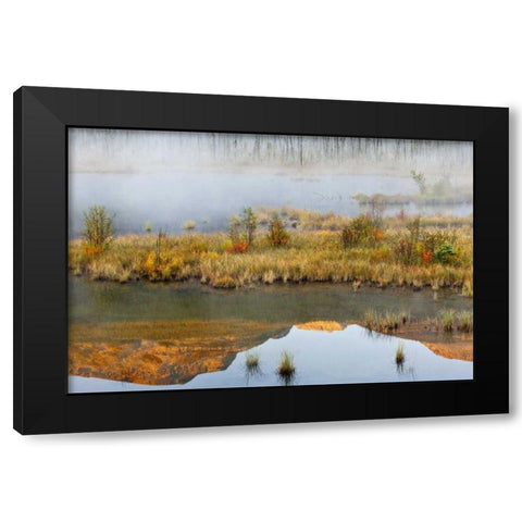 Canada, BC, Mount Robson PP Lake and fog Black Modern Wood Framed Art Print by Paulson, Don