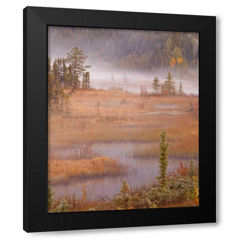 Canada, BC, Mount Robson PP Wetlands in autumn Black Modern Wood Framed Art Print by Paulson, Don