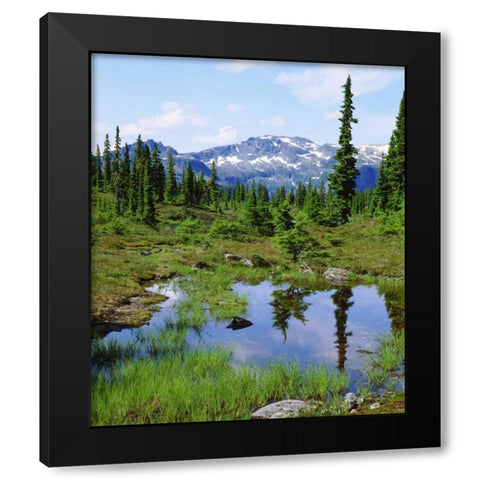 Canada, BC, Vancouver A tarn in the country Black Modern Wood Framed Art Print by Talbot Frank, Christopher