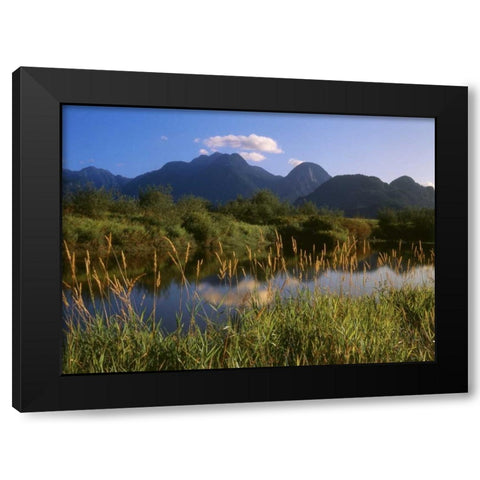 Canada, Pitt Addington Wildlife Management Area Black Modern Wood Framed Art Print with Double Matting by Grandmaison, Mike
