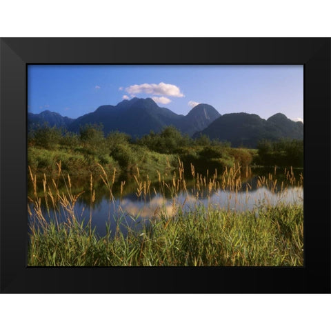 Canada, Pitt Addington Wildlife Management Area Black Modern Wood Framed Art Print by Grandmaison, Mike
