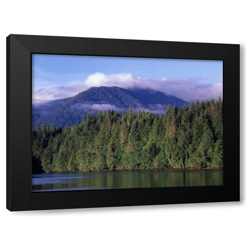 Canada, British Columbia, Coastal forest Black Modern Wood Framed Art Print with Double Matting by Grandmaison, Mike