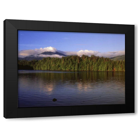 Canada, British Columbia, Coastal forest Black Modern Wood Framed Art Print with Double Matting by Grandmaison, Mike