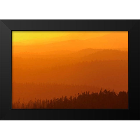 Canada, BC, Mountains of rain forest at sunset Black Modern Wood Framed Art Print by Grandmaison, Mike