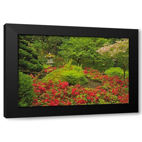 Canada, BC, Vancouver Lush Green Garden Black Modern Wood Framed Art Print by Grandmaison, Mike