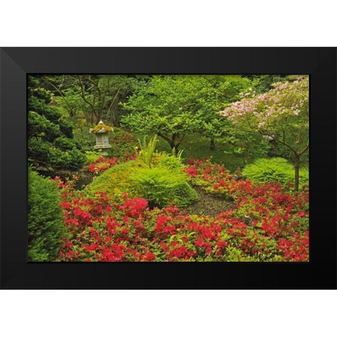Canada, BC, Vancouver Lush Green Garden Black Modern Wood Framed Art Print by Grandmaison, Mike