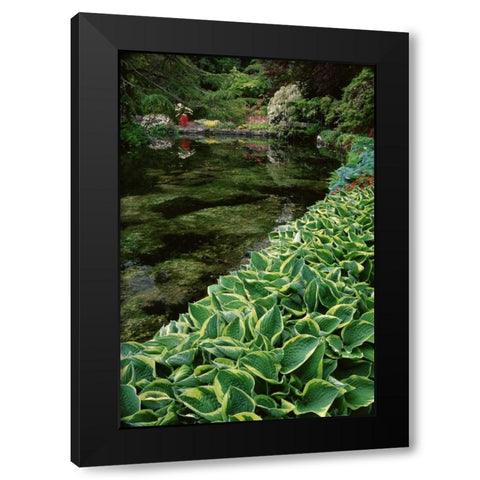 Canada, BC, Victoria Beautiful Garden Scenic Black Modern Wood Framed Art Print with Double Matting by Bush, Marie