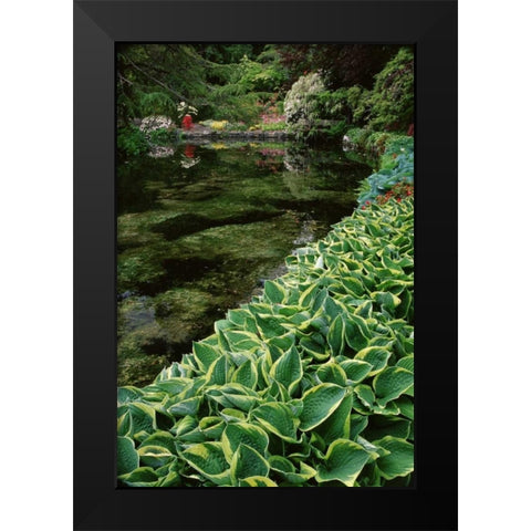 Canada, BC, Victoria Beautiful Garden Scenic Black Modern Wood Framed Art Print by Bush, Marie