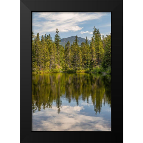 Canada-British Columbia-Brandywine Falls Provincial Park Swim Lake landscape  Black Modern Wood Framed Art Print by Jaynes Gallery