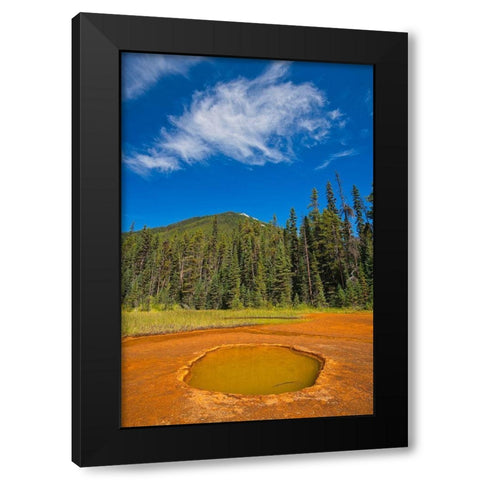 Canada-British Columbia-Kootenay National Park Iron-rich Paint Pots mineral springs stain ground Black Modern Wood Framed Art Print by Jaynes Gallery