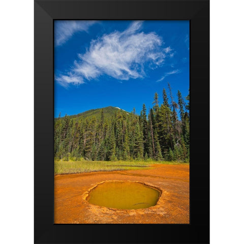 Canada-British Columbia-Kootenay National Park Iron-rich Paint Pots mineral springs stain ground Black Modern Wood Framed Art Print by Jaynes Gallery
