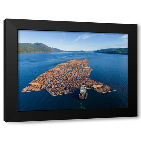 Canada-British Columbia-Campbell River-Aerial view of tugboat pushing boom of freshly cut logs Black Modern Wood Framed Art Print by Souders, Paul
