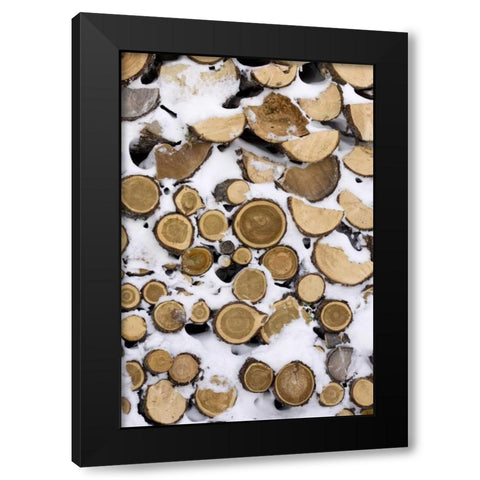 Canada, Churchill Stack of frozen cut fire wood Black Modern Wood Framed Art Print by Kaveney, Wendy