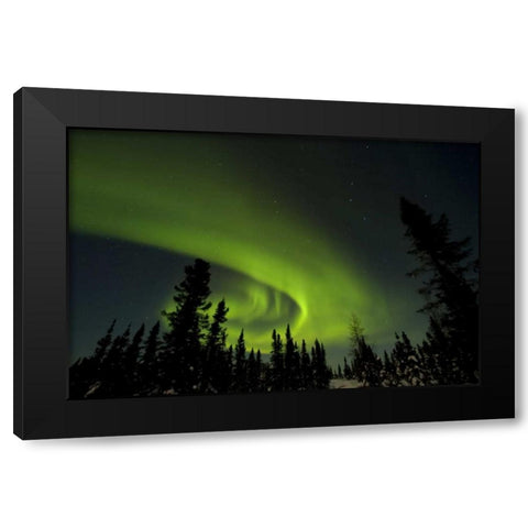 Canada, Manitoba Aurora borealis and trees Black Modern Wood Framed Art Print with Double Matting by Illg, Cathy and Gordon