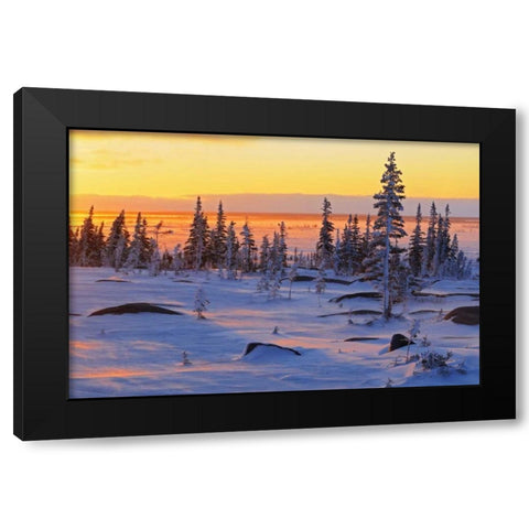 Canada, Churchill, Hudson Bay Sunrise on tundra Black Modern Wood Framed Art Print with Double Matting by Grandmaison, Mike