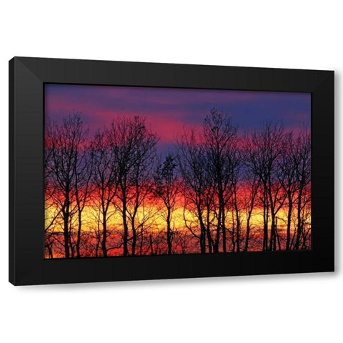 Canada, Matclock Trees and clouds at sunrise Black Modern Wood Framed Art Print with Double Matting by Grandmaison, Mike