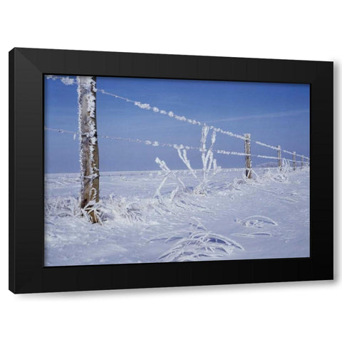 Canada, Manitoba, Dugald, hoarfrost and fence Black Modern Wood Framed Art Print by Grandmaison, Mike