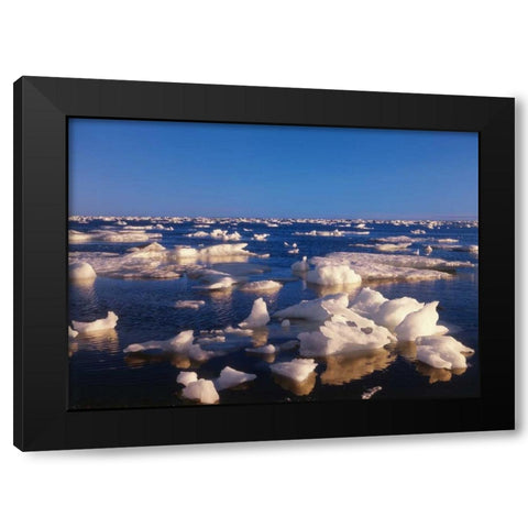 Canada, Churchill, ice floe in Hudson Bay Black Modern Wood Framed Art Print with Double Matting by Grandmaison, Mike