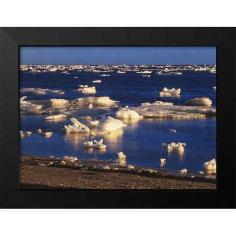 Canada, Churchill, ice floe in Hudson Bay Black Modern Wood Framed Art Print by Grandmaison, Mike