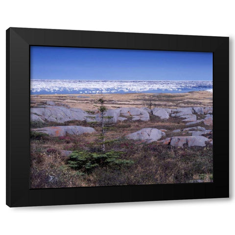 Canada, Manitoba, Churchill, Ice floe floating Black Modern Wood Framed Art Print with Double Matting by Grandmaison, Mike