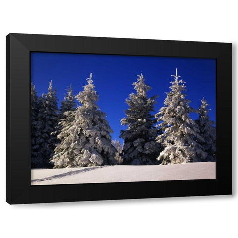 Canada, Manitoba, Riding Mountain NP Black Modern Wood Framed Art Print by Grandmaison, Mike