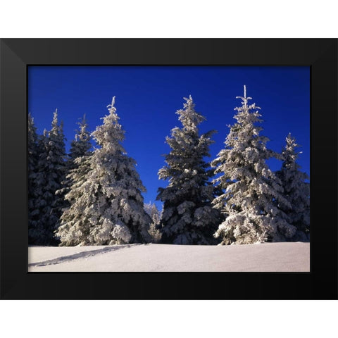 Canada, Manitoba, Riding Mountain NP Black Modern Wood Framed Art Print by Grandmaison, Mike