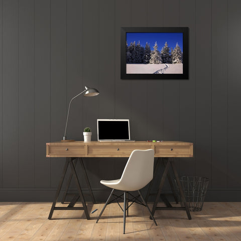 Canada, Manitoba, Riding Mountain NP Black Modern Wood Framed Art Print by Grandmaison, Mike