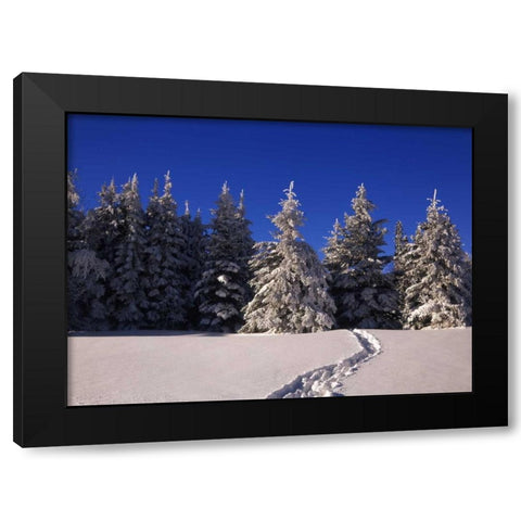 Canada, Manitoba, Riding Mountain NP Black Modern Wood Framed Art Print with Double Matting by Grandmaison, Mike