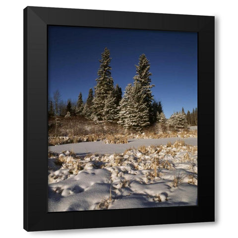 Canada, Manitoba, Riding Mountain NP Black Modern Wood Framed Art Print by Grandmaison, Mike