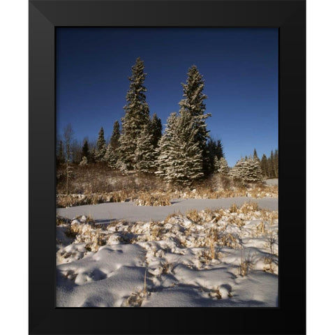 Canada, Manitoba, Riding Mountain NP Black Modern Wood Framed Art Print by Grandmaison, Mike
