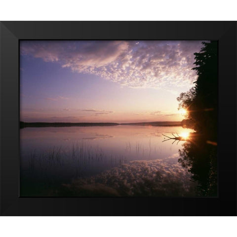 Canada, Manitoba, Duck Mountain Provincial Park Black Modern Wood Framed Art Print by Grandmaison, Mike