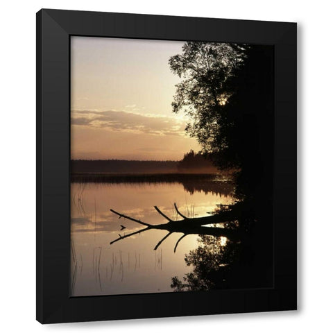 Canada, Manitoba, Childs lake in Duck Mountain PP Black Modern Wood Framed Art Print by Grandmaison, Mike