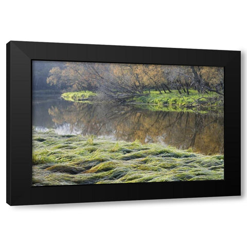 Canada Manitoba Fall on shore of LaSalle River Black Modern Wood Framed Art Print by Grandmaison, Mike