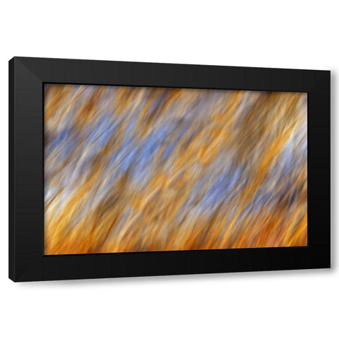 Canada, Manitoba Abstract of autumn leaves Black Modern Wood Framed Art Print with Double Matting by Grandmaison, Mike
