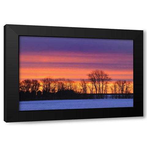 Canada, Manitoba, Dauphin Farmstead at dusk Black Modern Wood Framed Art Print by Grandmaison, Mike