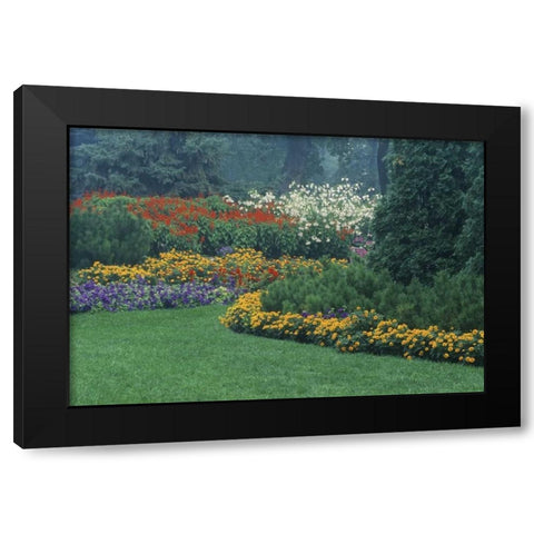 Canada, Manitoba, Winnipeg Garden in light fog Black Modern Wood Framed Art Print by Grandmaison, Mike
