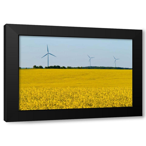 Canada, Somerset Wind turbines and canola Black Modern Wood Framed Art Print with Double Matting by Grandmaison, Mike