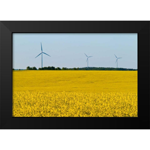 Canada, Somerset Wind turbines and canola Black Modern Wood Framed Art Print by Grandmaison, Mike